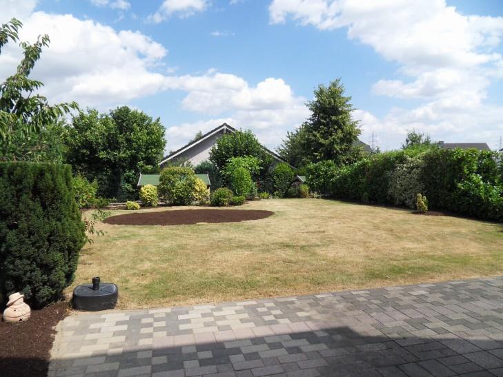 Blick in den Garten