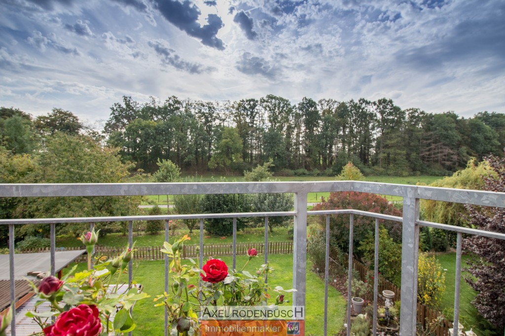 Terrassenaussicht DG